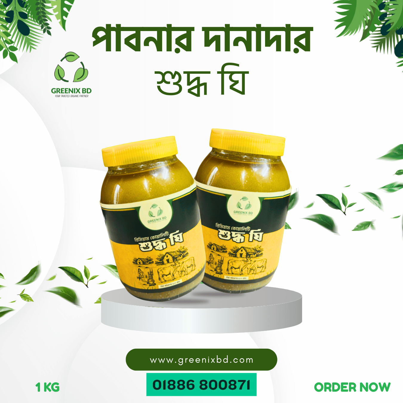 পাবনার দানাদার গাওয়া ঘি | Granular Gawa Ghee